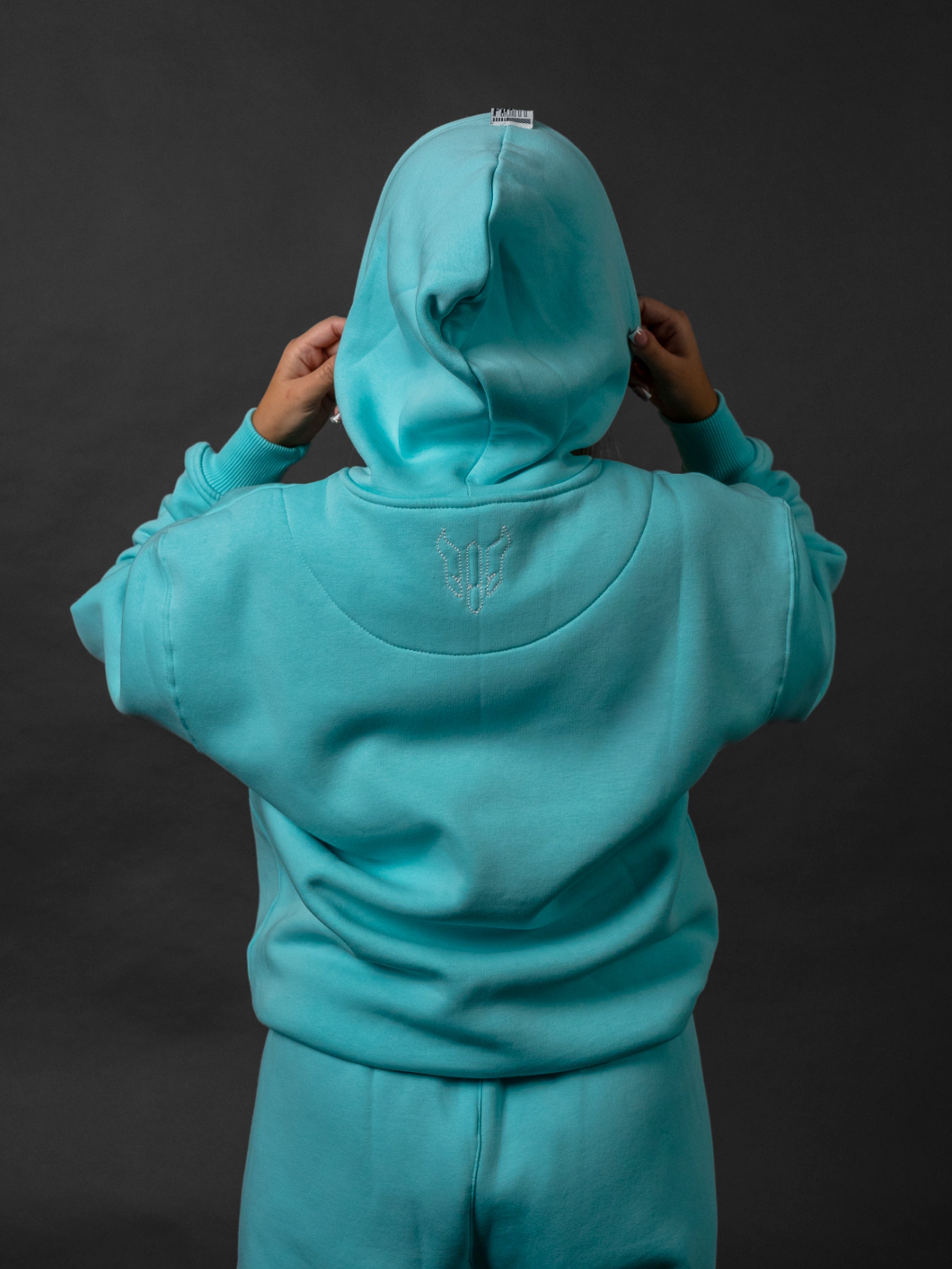 HELL FIGHT Basic Hoodie Light Blue - OnSize